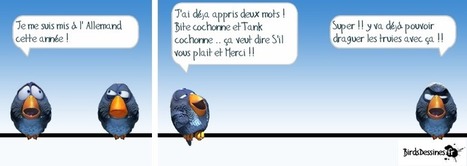 Birds Dessinés | Partagez vos Birds Dessinés | La bande dessinée FLE | Scoop.it