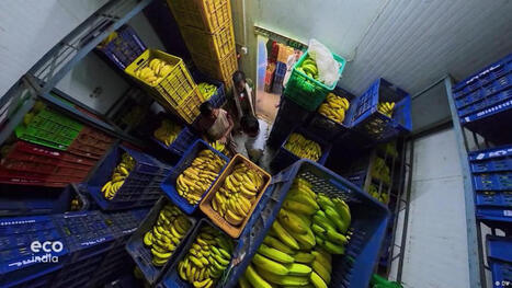 INNOVATIONS: How these Indian women are driving a new food security model&nbsp; | INNOVATIONS | Scoop.it