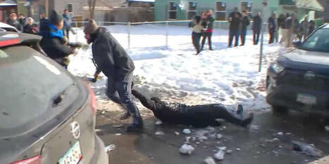 'She's pregnant!' ICE pelted with snowballs as agents hold woman 'face down on the ground' - Raw Story | Operation Oya | Scoop.it