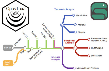 OpusTaxa: A Unified Workflow for Taxonomic Profiling, Assembly, and Functional Analysis of Shotgun Metagenomes | brvbi | RMH | Scoop.it