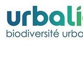 VINCI Construction et AgroParisTech annoncent la création d’Urbalia, nouvelle start-up dédiée à la biodiversité urbaine - AgroParisTech | ESPACES VEGETALISES URBAINS | Scoop.it