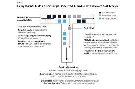 The need for individual training and T-shaped employees is greater than ever in modern organizations via @McKinsey | WHY IT MATTERS: Digital Transformation | Scoop.it