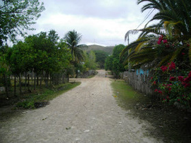 Arenal Village Website | Cayo Scoop!  The Ecology of Cayo Culture | Scoop.it