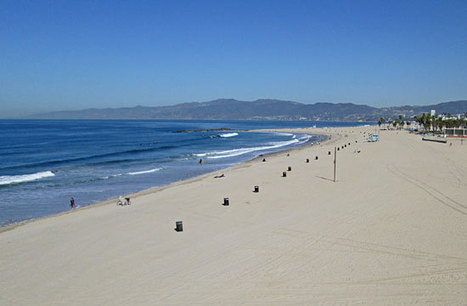 Bingo! Beach restoration&rsquo;s a winner | Sandy Beach Ecology & Management | Scoop.it