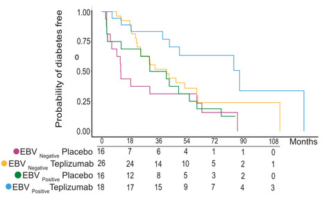 Latent EBV Enhances the Efficacy of Anti-CD3 mAb in Type 1 Diabetes - Nature Communications | Virus World | Scoop.it