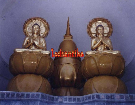 Companies saving billions through offshore tax havens, report says - Charleston Gazette | Operation Deimos | Scoop.it