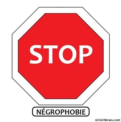 Dans La Peau d’un Noir: Un Blanc Découvre l’Allemagne Négrophobe | World News | Scoop.it
