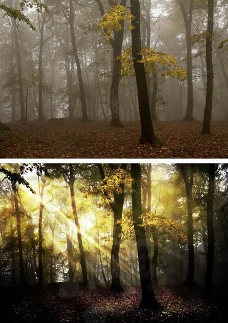 Best Photoshop Tutorials of December 2011 | photoshop ressources | Scoop.it
