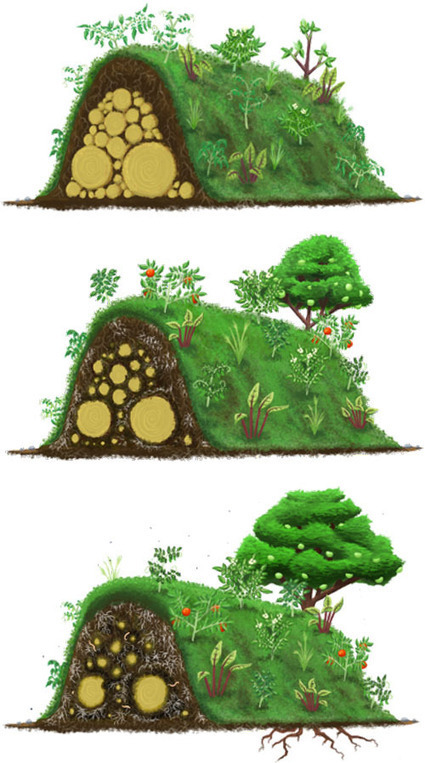 Hugelkultur: Composting Whole Trees With Ease P...