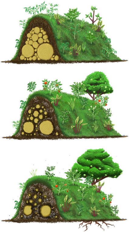 Aquaponics diagram 