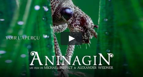 Michael & Alexander Whitener : "Aninagin", un film sur le monde incroyable des insectes, qui sortira en 2022 | Variétés entomologiques | Scoop.it