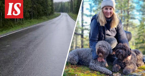 Majava keskellä tietä | 1Uutiset - Lukemisen tähden | Scoop.it