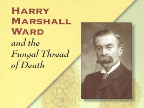 Annals of Botany: Review of "Harry Marshall Ward and the fungal thread of death" APS Press (2005) | Plants and Microbes | Scoop.it
