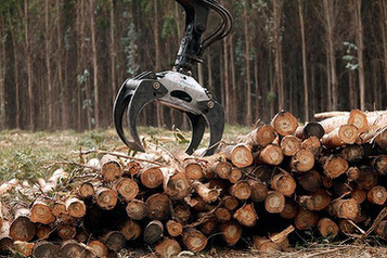 Mirvac to sell forestry land | Timberland Investment | Scoop.it