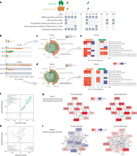 System vaccinology analysis of predictors and mechanisms of antibody response durability to multiple vaccines in humans | Nature Immunology | Immunology and Biotherapies | Scoop.it