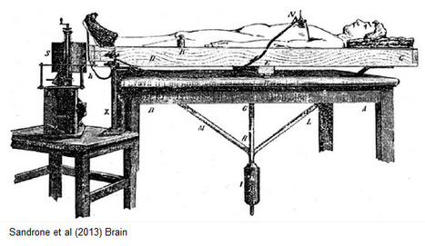 A Machine to Weigh the Soul | Science News | Scoop.it