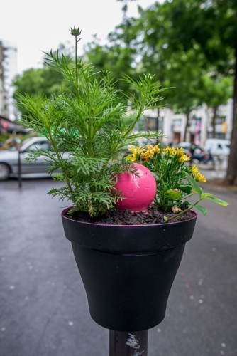 A Paris, le permis de végétaliser renforce l’initiative de végétalisation par les citoyens | Vers la transition des territoires ! | Scoop.it