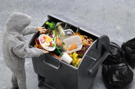 Tackling food waste: Ingredient innovators unlock business opportunities through upcycling and AI | AGROALIMENTAIRE | Scoop.it