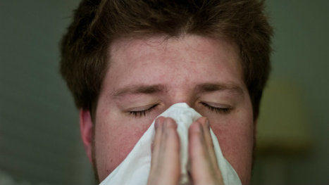 Forscher glauben ein Mittel gegen alle Allergien gefunden zu haben | #Research #Nano #Allergy #Allergies | 21st Century Innovative Technologies and Developments as also discoveries, curiosity ( insolite)... | Scoop.it