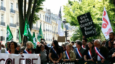 Loi Duplomb : le Conseil constitutionnel rendra "a priori" sa décision sur le texte le 7 août | Planète DDurable | Scoop.it