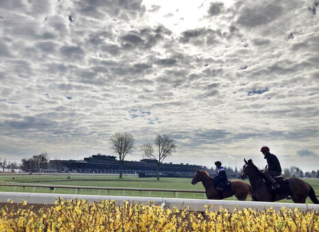 FanDuel TV To Phase Out Through 2027 | Racing Regulatory Issues | Scoop.it