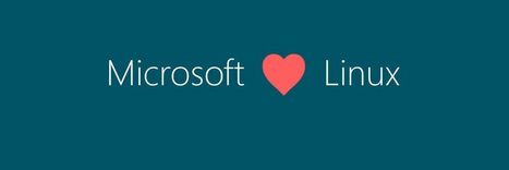 MonWindows : "Microsoft sacrifie des Mrd d'€ […] en léguant 60.000 brevets | Ce monde à inventer ! | Scoop.it