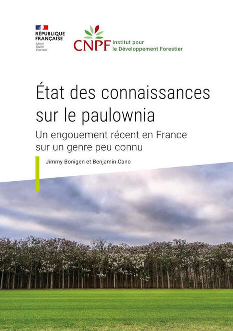 Que peut-on vraiment attendre du Paulownia ? | Pour innover en agriculture | Scoop.it