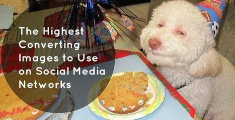 The Highest Converting Images to Use on Social Media Networks | Social Media Today | Digital-News on Scoop.it today | Scoop.it