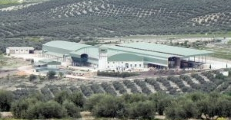 Jaen produce più olio d'oliva di Italia, Grecia, Portogallo e Marocco | OLIVE NEWS | Scoop.it