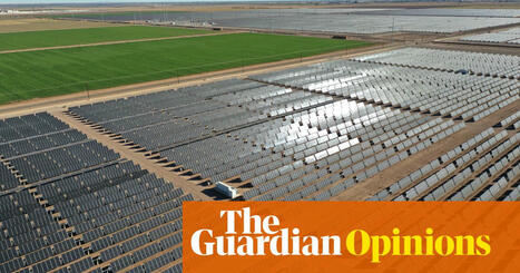 It doesn’t make sense: why US tariffs on Chinese cleantech risk the green transition | Jeffrey Frankel | The Guardian | International Economics: IB Economics | Scoop.it