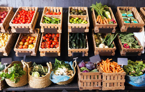Modèle de business plan d'épicerie dans un village | Création d'entreprise et business plan | Scoop.it
