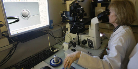 Un embryon imprim&eacute; en 3D pour les FIV, une premi&egrave;re mondiale | Bio&eacute;thique & Procr&eacute;ation | Scoop.it