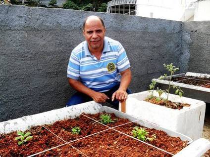 Urban Agriculture Sprouts in Brazil’s Favelas | Stage 5  Changing Places | Scoop.it