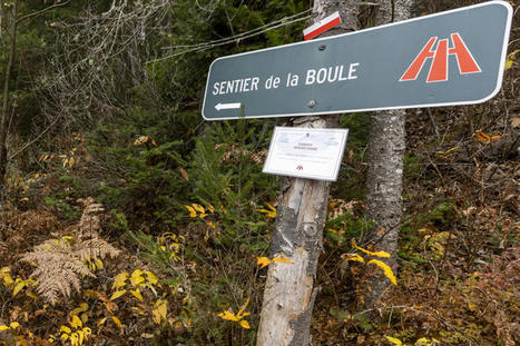 De l’amour pour le Sentier national | Ils parlent de nous ! | Scoop.it