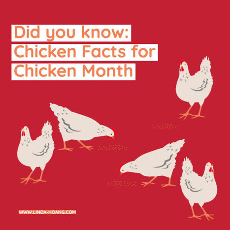 Did you Know: Learn Chicken Facts for Chicken Month! – | Alberta Food Geeks | Scoop.it