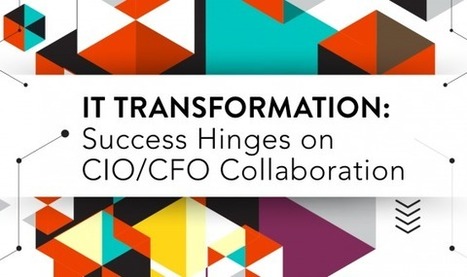 Six Areas of Opportunity for Partners When the CIO & CFO Can't Stop Bickering | CXO.Care | Scoop.it