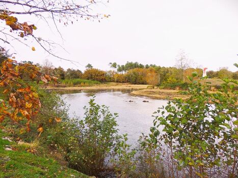 La Fondation du Patrimoine lance son premier Prix du patrimoine aquitain décerné par le grand public | Landes | Scoop.it