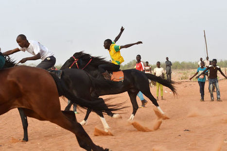 Sur les traces d'un cheval légendaire au Niger | Cheval et sport | Scoop.it