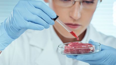 Derrière L214, l’ombre de la viande in vitro | Actualité Bétail | Scoop.it