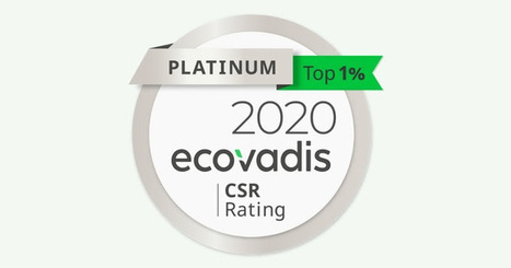 Endesa, medalla de platino en sostenibilidad | EcoVadis Customer Success Stories | Scoop.it