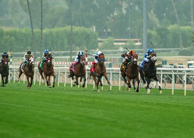 Santa Anita Handles Over $50.4 Million Opening Weekend - BloodHorse | Racing News | Scoop.it