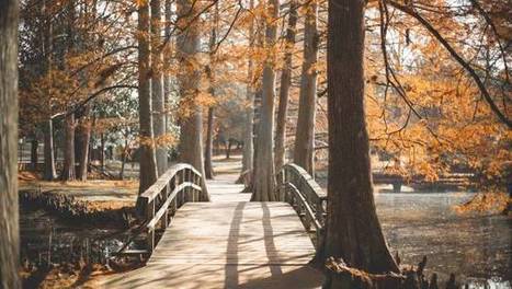 L’Office français de la biodiversité lance un MOOC sur les continuités écologiques | Actu Archi-Urba-Environnement-Paysage | Scoop.it