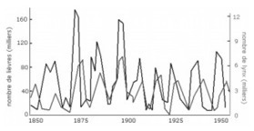 Proies et prédateurs [Mathématiques] | Veille Éducative - L'actualité de l'éducation en continu | Scoop.it