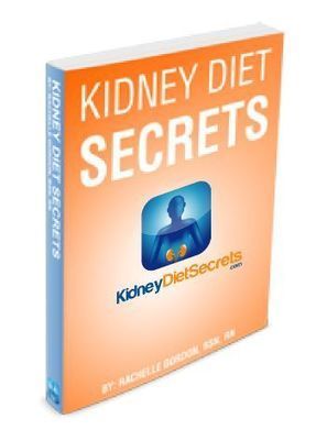 Kidney Diet Secrets Rachelle Gordon Book PDF Download Free | Ebooks & Books (PDF Free Download) | Scoop.it