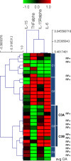 Differential expression of pro-inflammatory cytokines IL-15Ralpha, IL-15, IL-6 and TNFalpha in synovial fluid from Rheumatoid arthritis patients | Rheumatology-Rhumatologie | Scoop.it