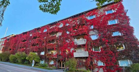 &rdquo;Villi&shy;viini&shy;talo&rdquo; kuoriutuu esiin k&ouml;ynn&ouml;sten alta Jyv&auml;skyl&auml;n Vaasankadulla &ndash; remontti paljastaa julkisivun kunnon | Keski-Suomi | Yle | 1Uutiset - Lukemisen t&auml;hden | Scoop.it