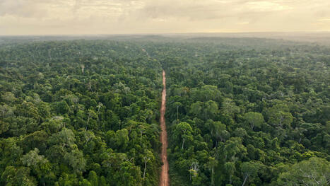 Mission Biomass : un satellite pour mieux comprendre comment les forêts stockent (et émettent) du carbone | Télédétection veille IST INRAE & AgroParisTech | Scoop.it
