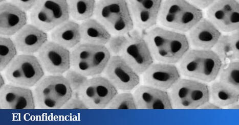 Alemania afirma haber creado un material que desala el agua del mar sin (casi) gastar energ&iacute;a. Y tambi&eacute;n extrae litio | Santiago Sanz Lastra | Scoop.it