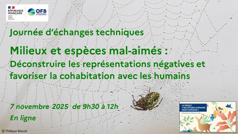 Journée d'échanges techniques : Milieux et espèces mal-aimées. Déconstruire les représentations négatives et favoriser la cohabitation avec les humains - OFB | Biodiversité | Scoop.it