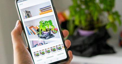 Las 8 mejores apps para borrar objetos y personas de las fotos | TIC & Educación | Scoop.it